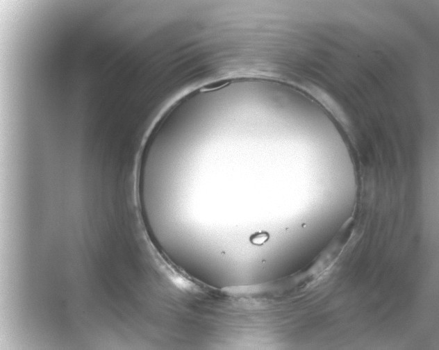 X0000068301246200605051925