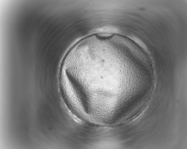 X0000068301248200605051925