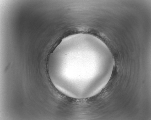 X0000068301249200605051924