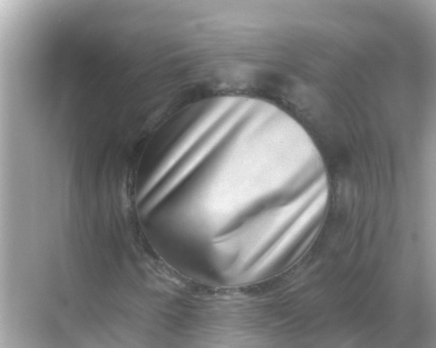 X0000068301250200605051924