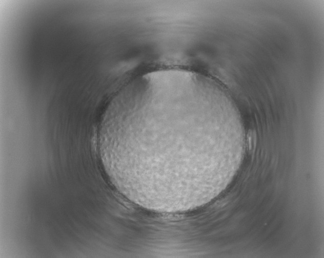 X0000068301251200605051924