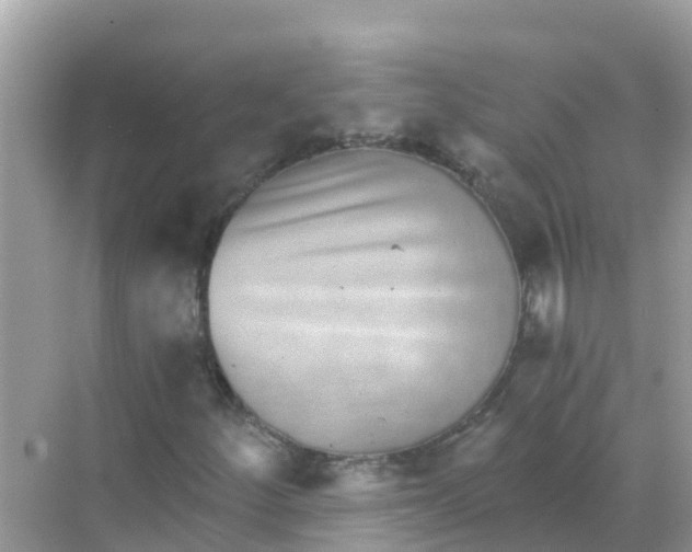 X0000068301252200605051924