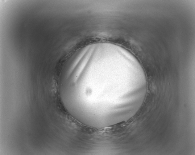 X0000068301253200605051924