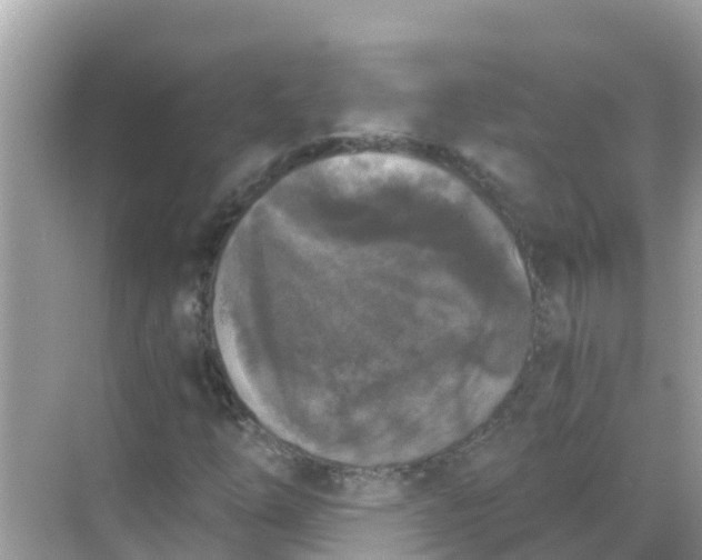 X0000068301254200605051924