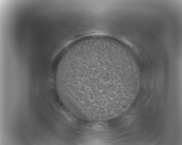 X0000068301255200605051924