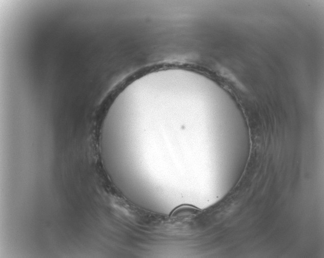 X0000068301256200605051924