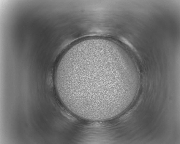 X0000068301259200605051924