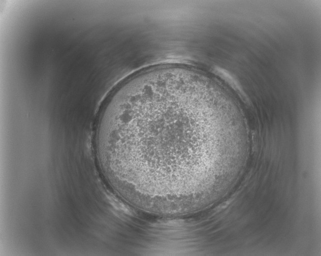 X0000068301260200605051924