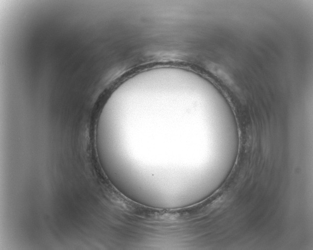 X0000068301261200605051924