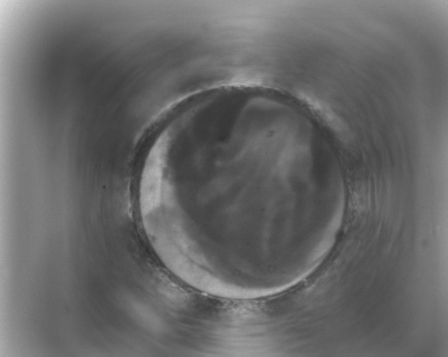 X0000068301262200605051924