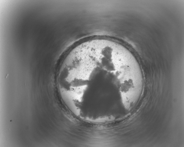 X0000068301263200605051924