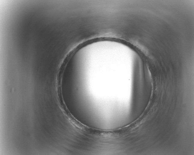 X0000068301264200605051924