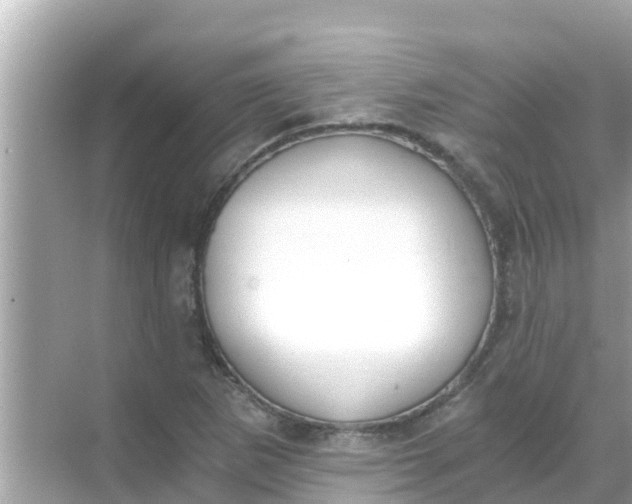 X0000068301265200605051924