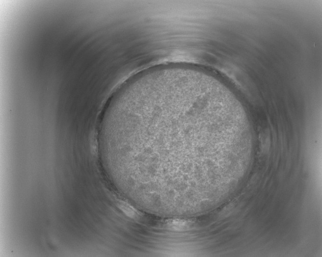 X0000068301266200605051924