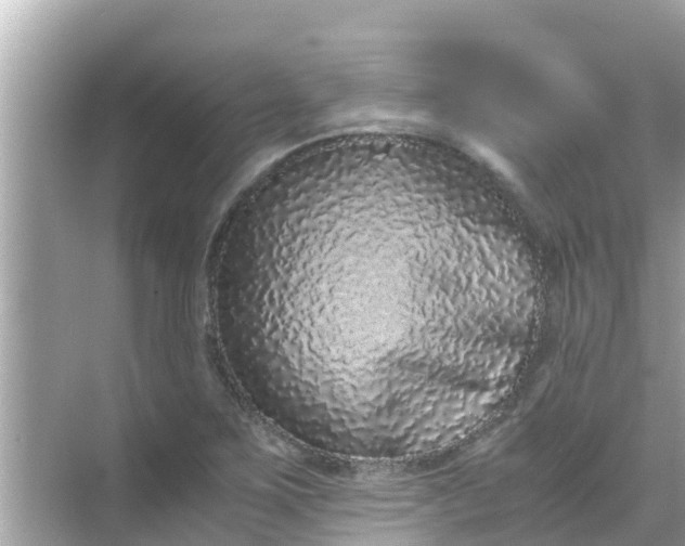 X0000068301267200605051924