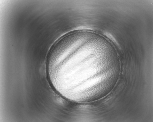 X0000068301268200605051924