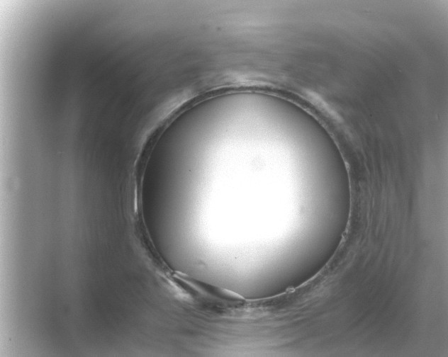 X0000068301269200605051924