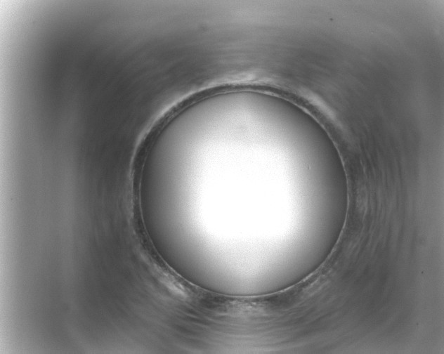 X0000068301270200605051924