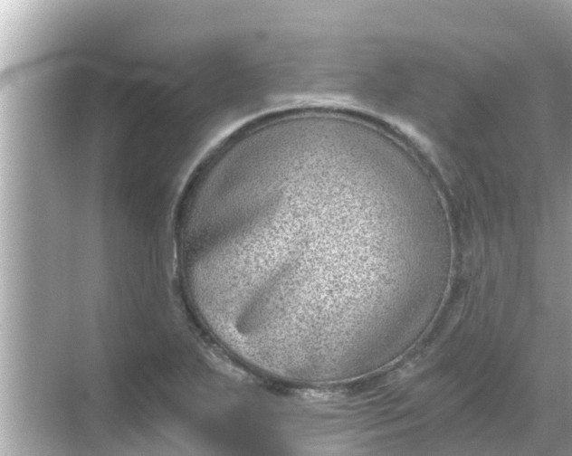 X0000068301271200605051924