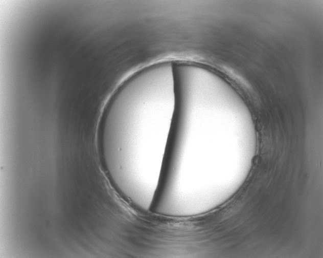 X0000068301272200605051924