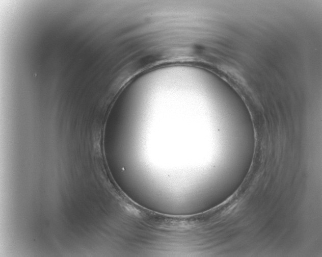 X0000068301273200605051924