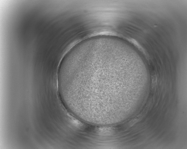 X0000068301274200605051924