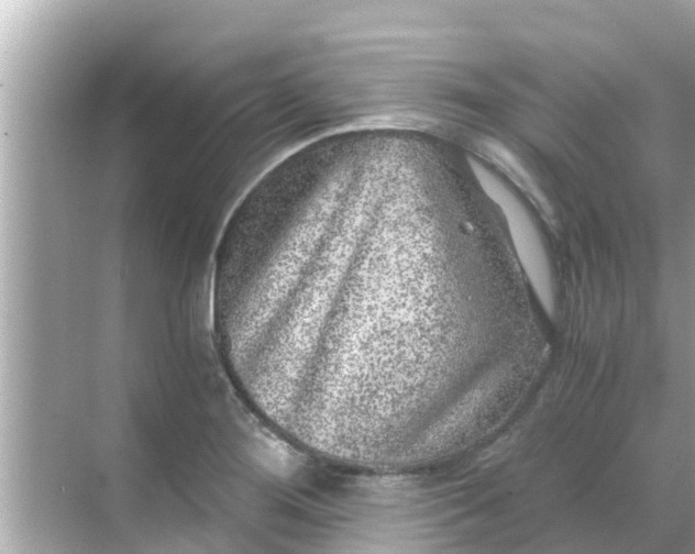 X0000068301276200605051924