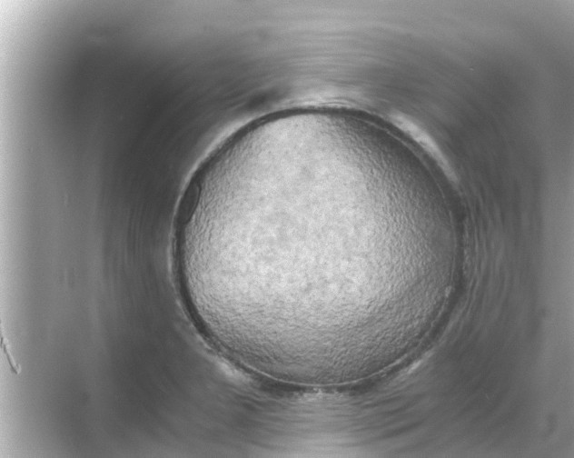 X0000068301277200605051924