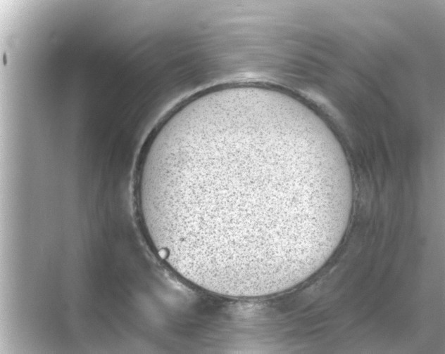 X0000068301278200605051924