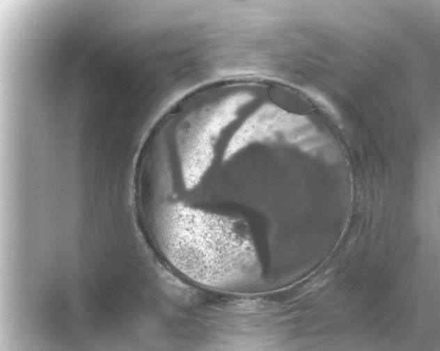 X0000068301279200605051924