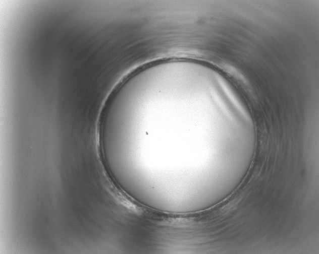 X0000068301280200605051924