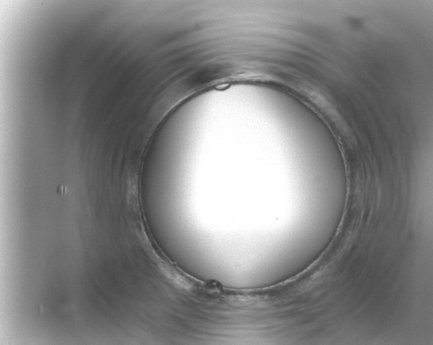 X0000068301281200605051924