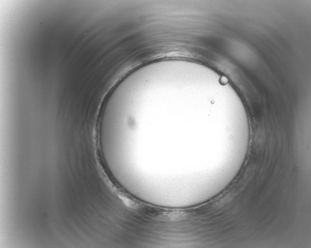 X0000068301282200605051923