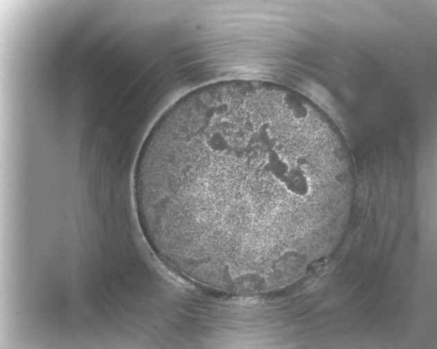 X0000068301283200605051923