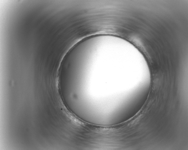 X0000068301284200605051923