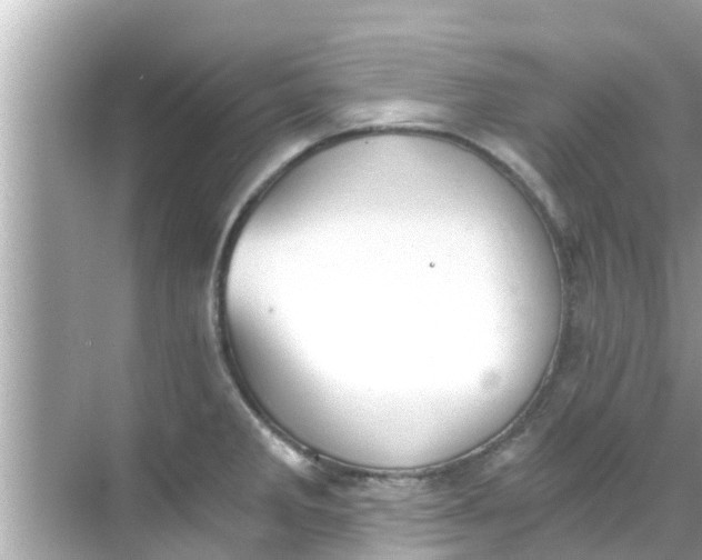 X0000068301285200605051923