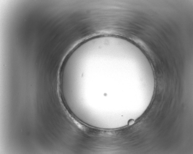 X0000068301286200605051923