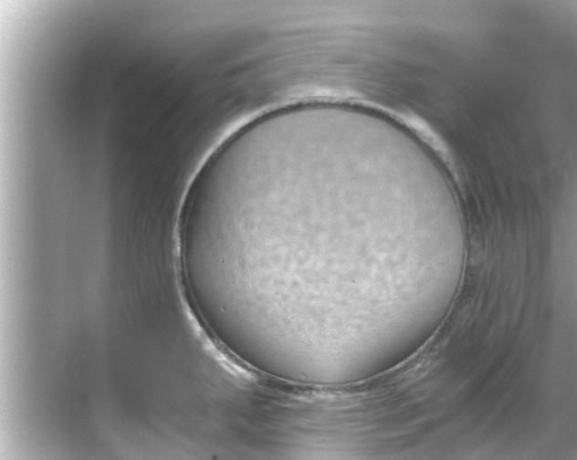 X0000068301287200605051923