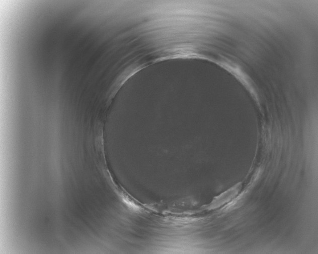 X0000068301289200605051923