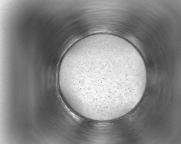 X0000068301290200605051923