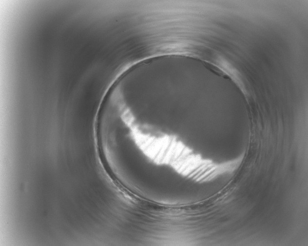 X0000068301291200605051923