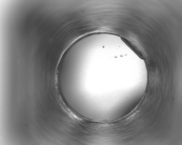 X0000068301292200605051923