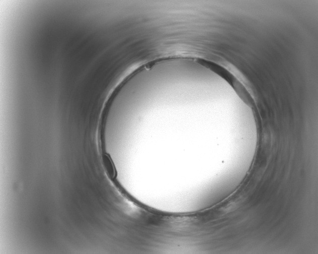 X0000068301293200605051923