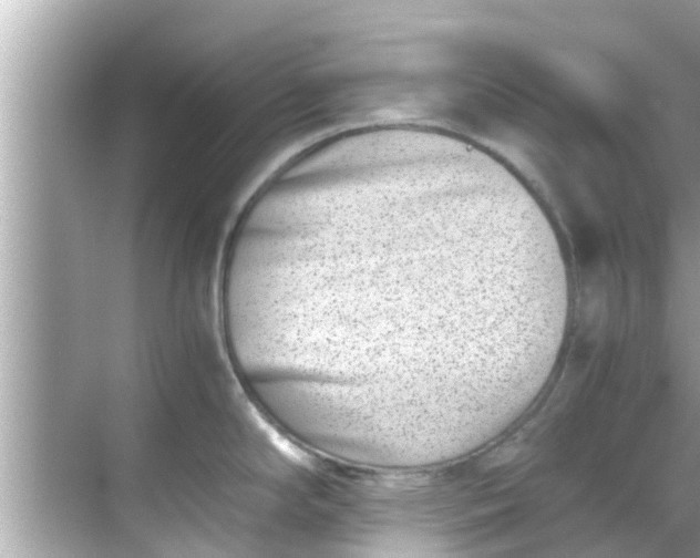 X0000068301294200605051923