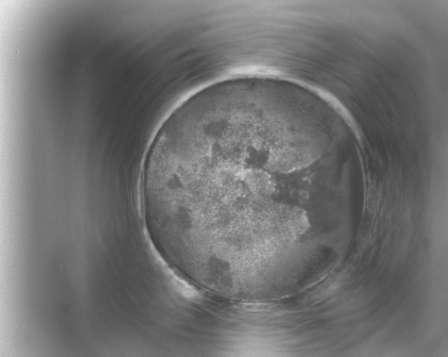 X0000068301295200605051923