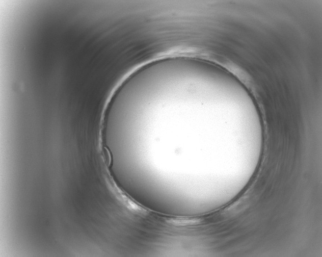 X0000068301296200605051923