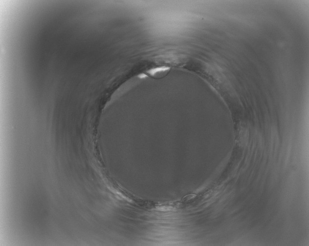 X0000068301297200605051922