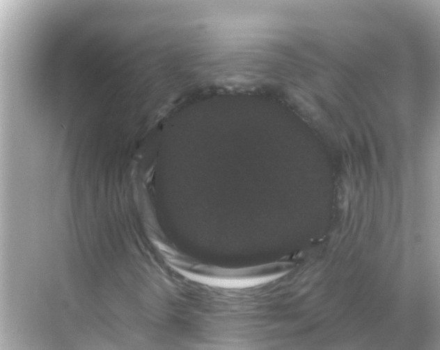 X0000068301298200605051922