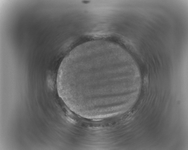 X0000068301300200605051923