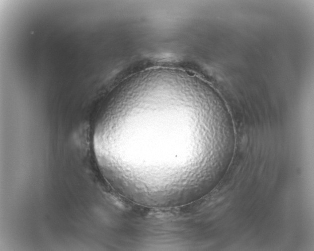 X0000068301301200605051923